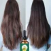 Discover How Liquid Professional Hair Oil Revitalizes Dry, Damaged Hair Instantly