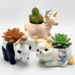 Create Stunning Resin and Concrete Succulent Pots with This Versatile Silicone Mold